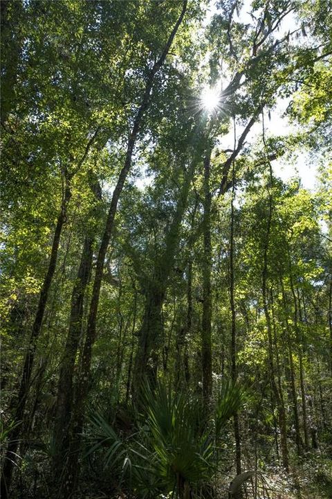 待售: $170,000 (10.00 acres)