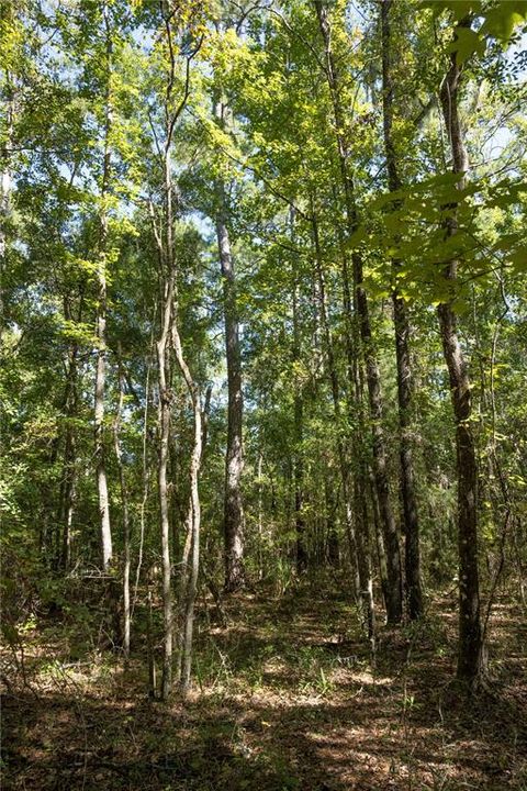 待售: $170,000 (10.00 acres)