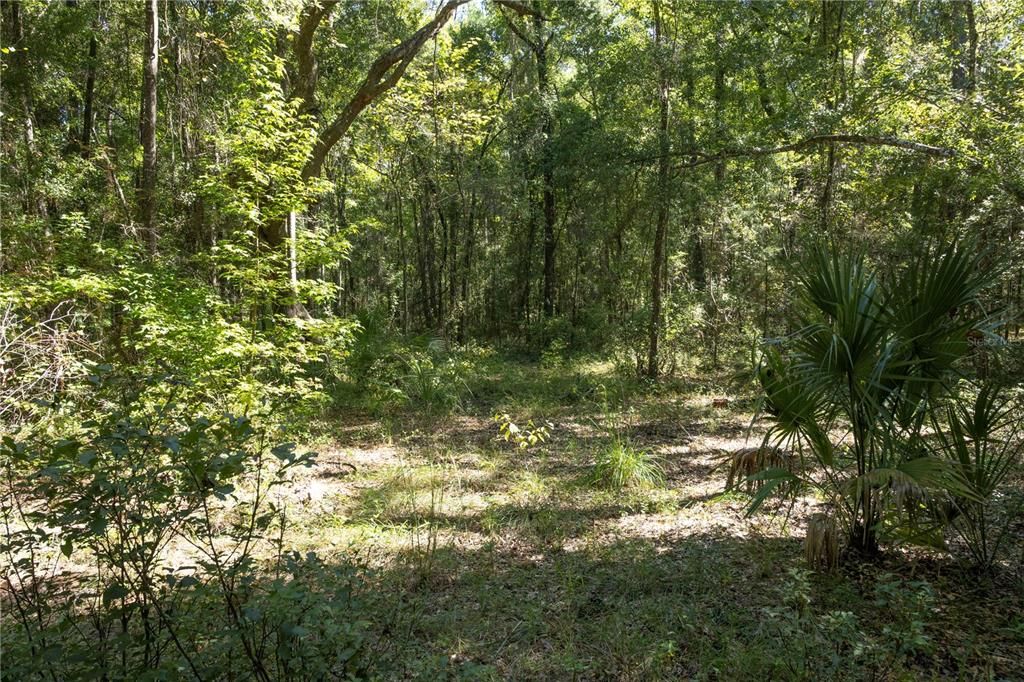 待售: $170,000 (10.00 acres)