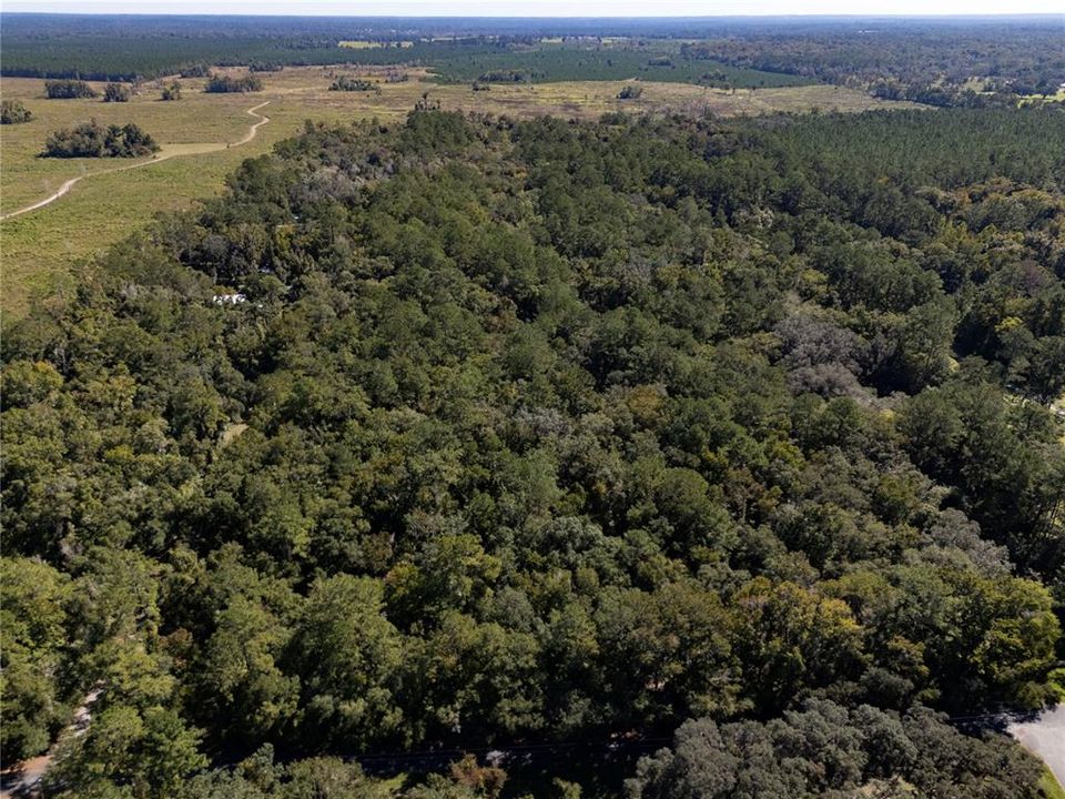 待售: $170,000 (10.00 acres)