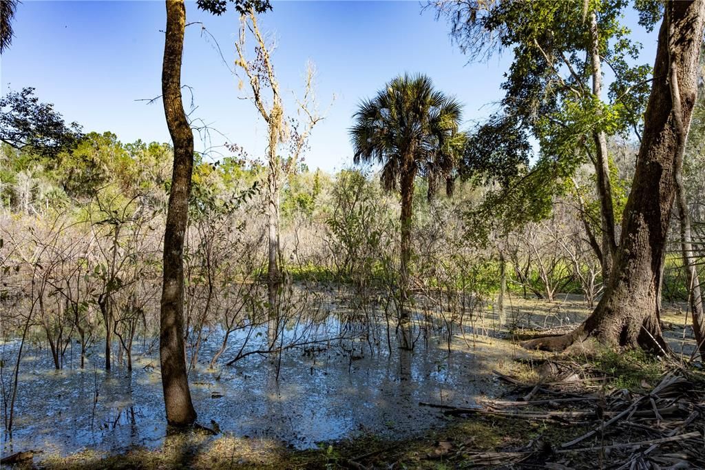 待售: $170,000 (10.00 acres)