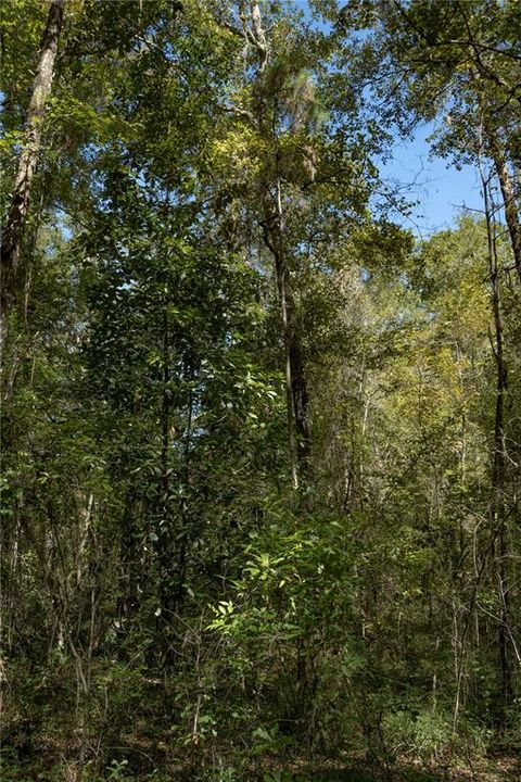 待售: $170,000 (10.00 acres)