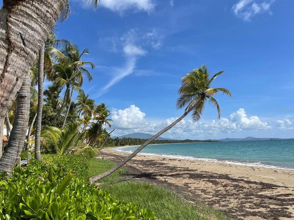 For Sale: $375,000 (2 beds, 2 baths, 1348 Square Feet)