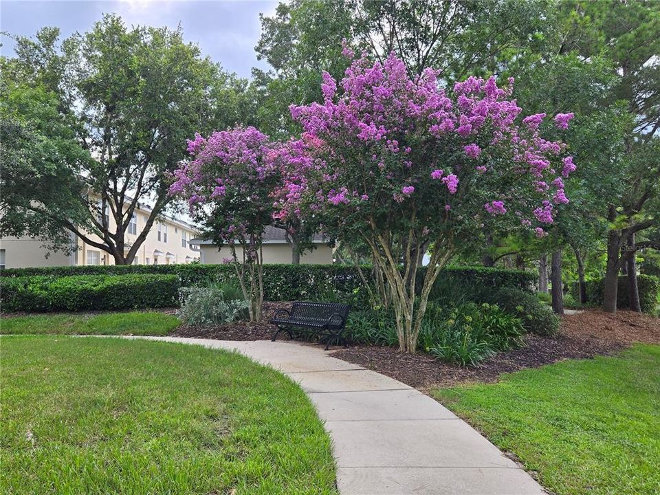 Active With Contract: $375,000 (3 beds, 2 baths, 1568 Square Feet)