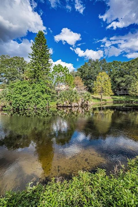 待售: $360,000 (2 贝兹, 2 浴室, 1240 平方英尺)