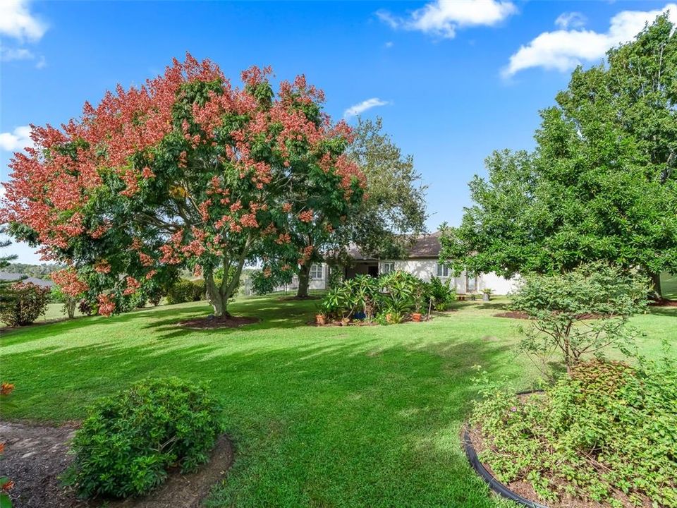 待售: $600,000 (4 贝兹, 3 浴室, 2971 平方英尺)