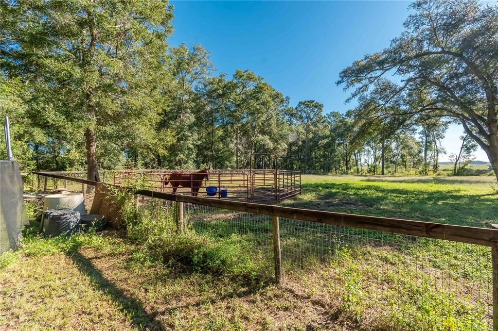 For Sale: $415,000 (3 beds, 2 baths, 1104 Square Feet)