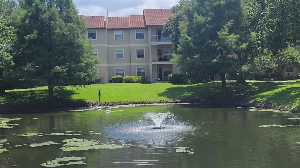 В аренду: $1,650 (2 спален, 2 ванн, 937 Квадратных фут)