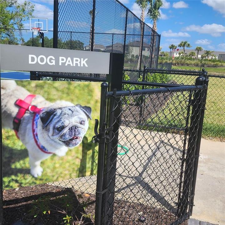 出租: $2,380 (3 贝兹, 2 浴室, 1373 平方英尺)