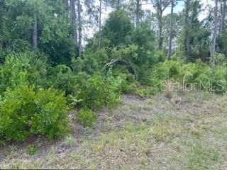 待售: $30,000 (0.24 acres)