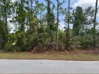 待售: $30,000 (0.24 acres)