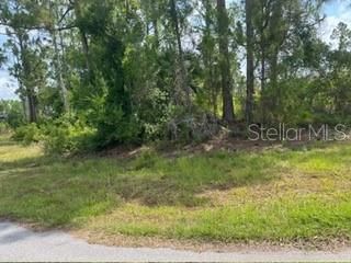 待售: $30,000 (0.24 acres)