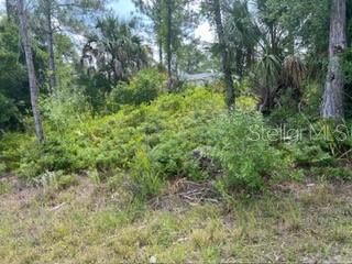 待售: $30,000 (0.24 acres)