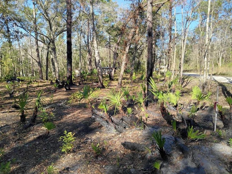 For Sale: $24,000 (0.27 acres)