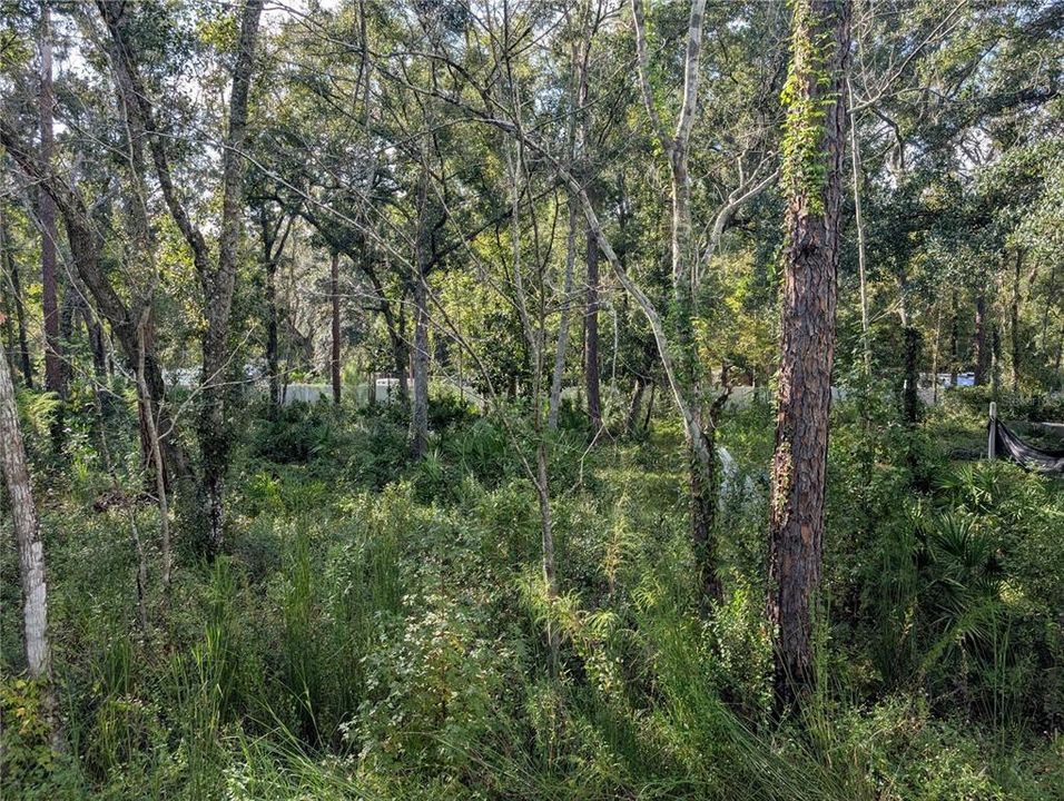 For Sale: $24,000 (0.27 acres)