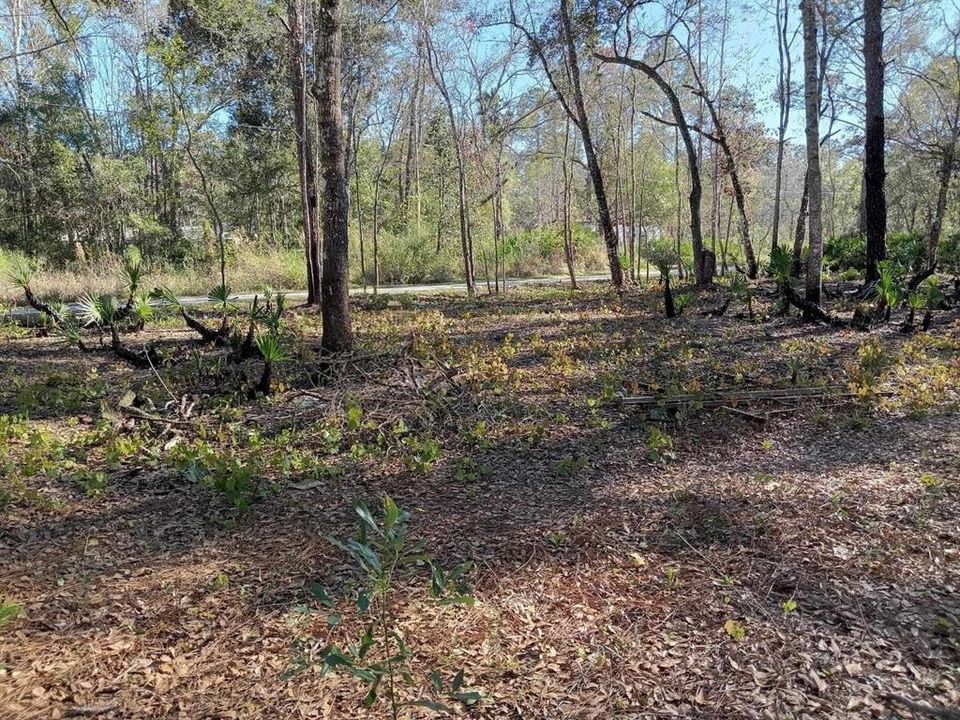 For Sale: $24,000 (0.27 acres)