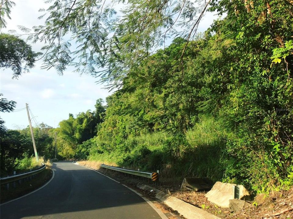 En Venta: $65,000 (4.90 acres)