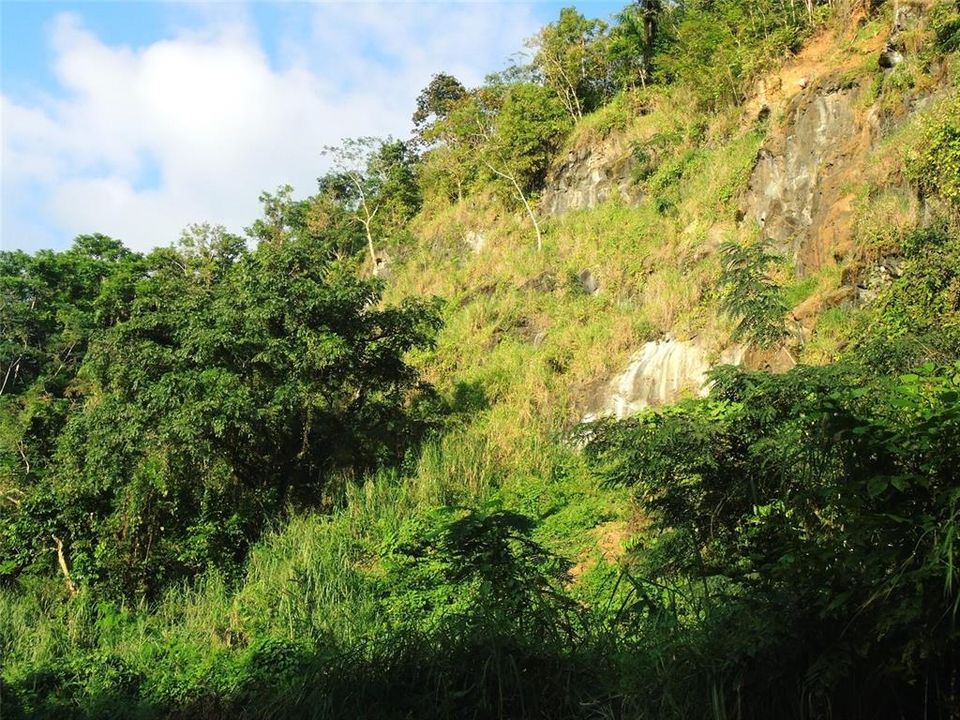 En Venta: $65,000 (4.90 acres)