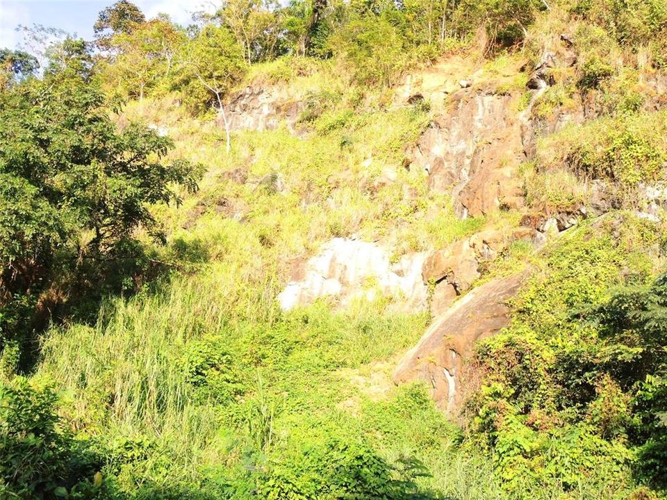 En Venta: $65,000 (4.90 acres)