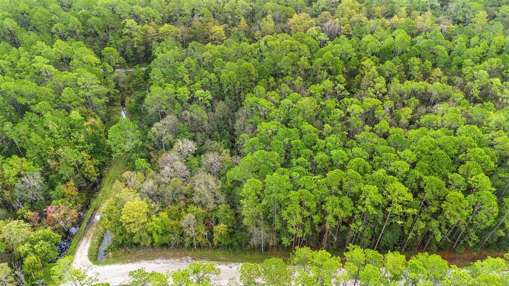 For Sale: $29,500 (0.26 acres)