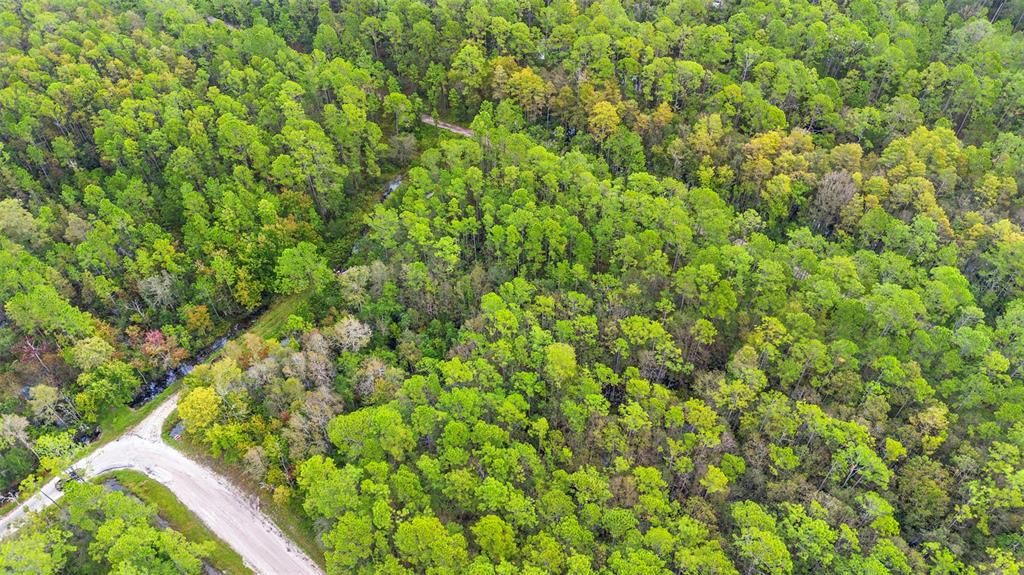 For Sale: $29,500 (0.26 acres)