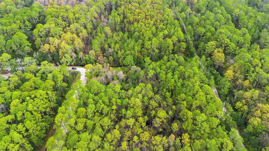 For Sale: $29,500 (0.26 acres)