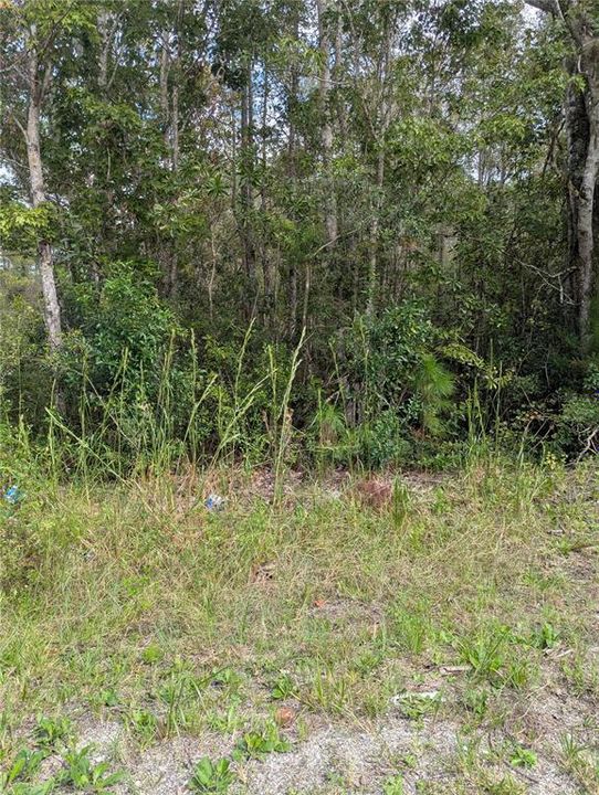 For Sale: $29,500 (0.26 acres)