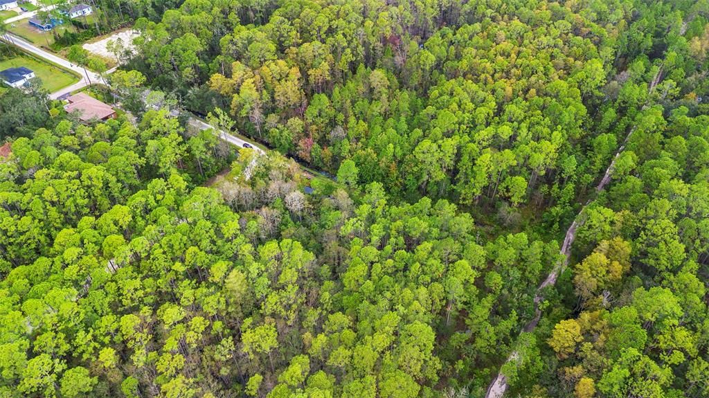 For Sale: $29,500 (0.26 acres)