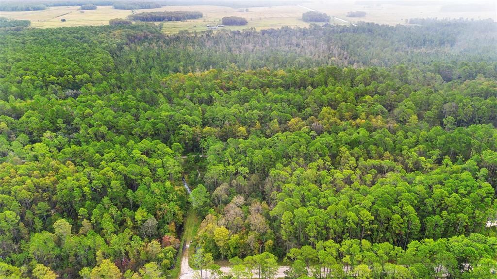 For Sale: $29,500 (0.26 acres)