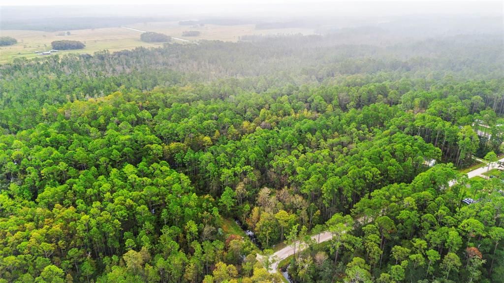 For Sale: $29,500 (0.26 acres)