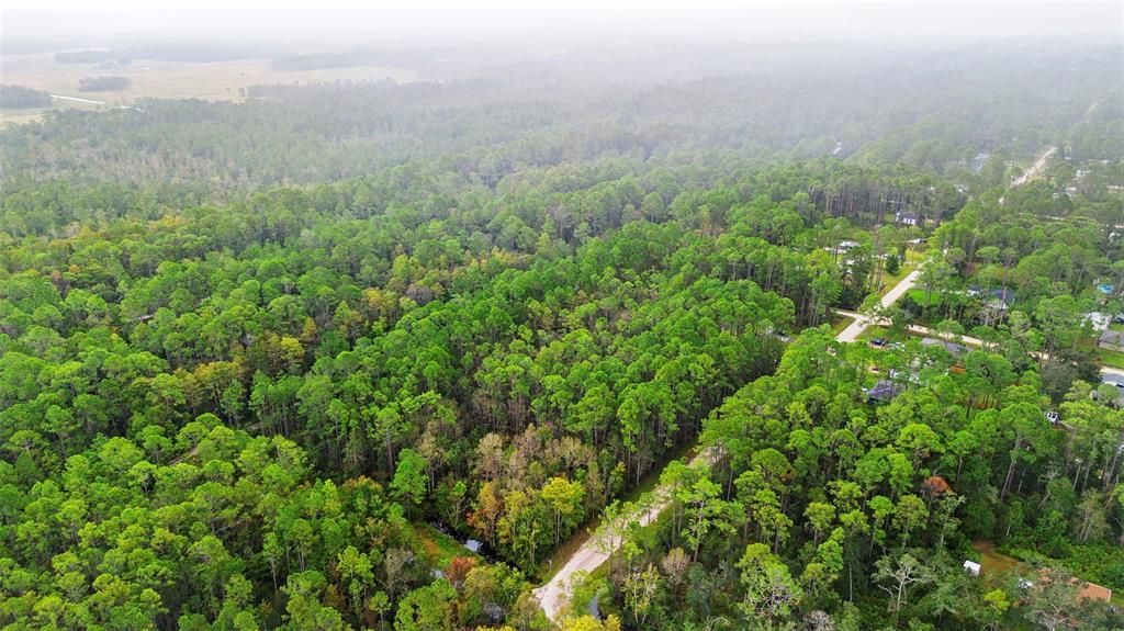 For Sale: $29,500 (0.26 acres)