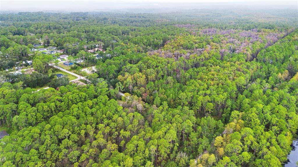 For Sale: $29,500 (0.26 acres)