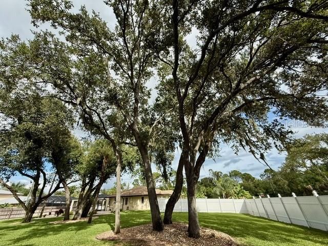 Active With Contract: $2,500 (3 beds, 2 baths, 2227 Square Feet)