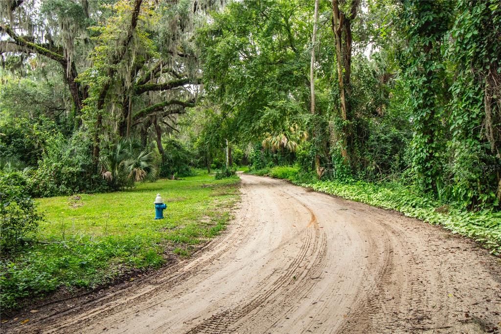 For Rent: $3,300 (2 beds, 1 baths, 1350 Square Feet)