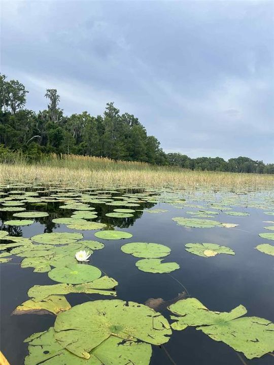 En Venta: $99,500 (0.35 acres)