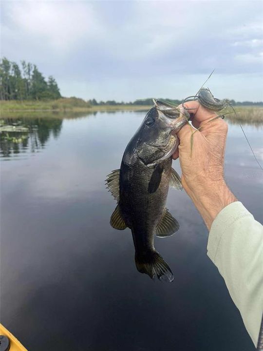 En Venta: $99,500 (0.35 acres)