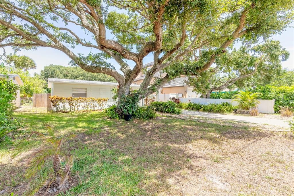 待售: $487,500 (2 贝兹, 1 浴室, 908 平方英尺)