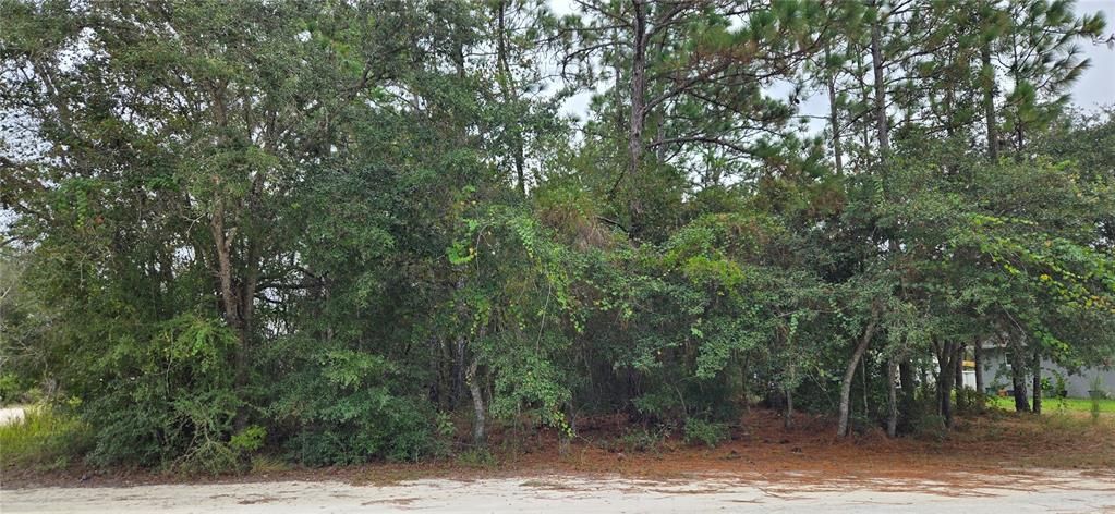 For Sale: $49,900 (0.46 acres)