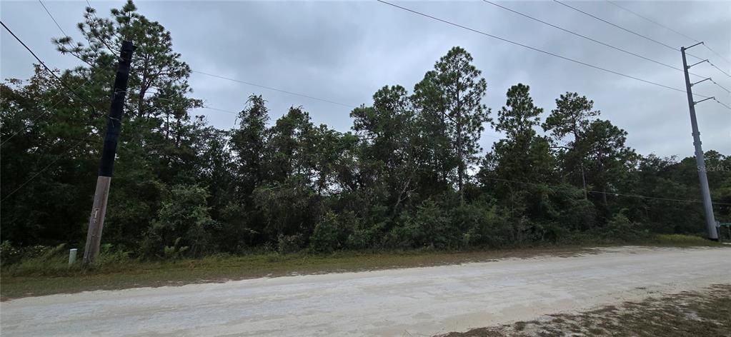 For Sale: $49,900 (0.46 acres)