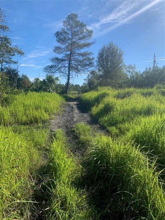 待售: $1,399,000 (2.38 acres)