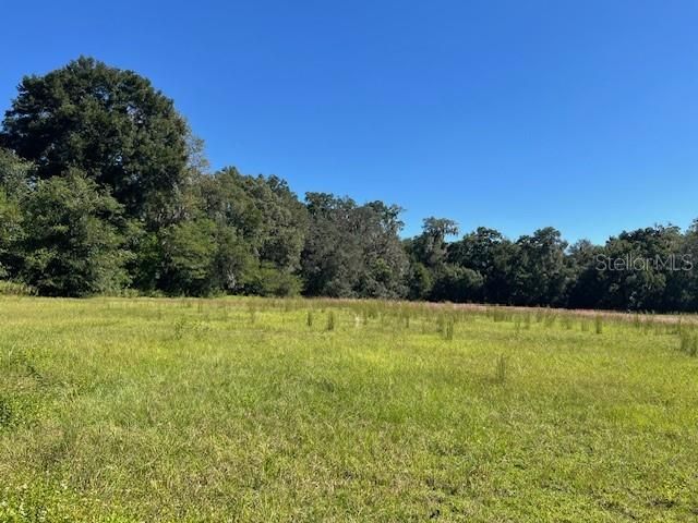 For Sale: $665,000 (19.00 acres)