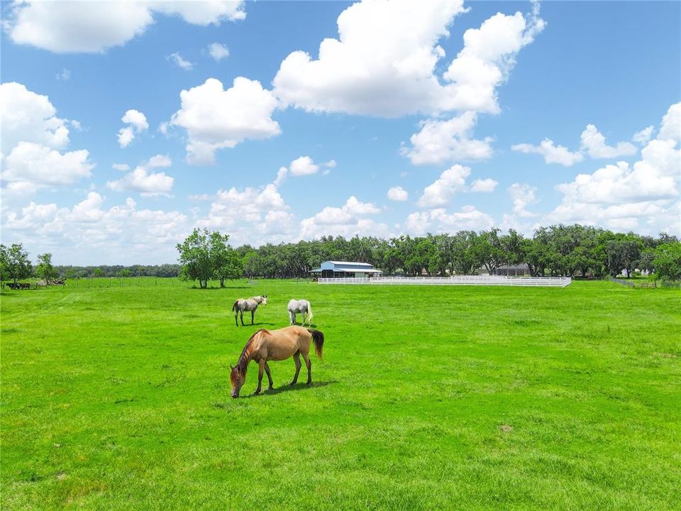 待售: $1,399,000 (4 贝兹, 3 浴室, 2901 平方英尺)