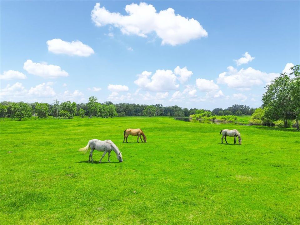 待售: $1,399,000 (4 贝兹, 3 浴室, 2901 平方英尺)