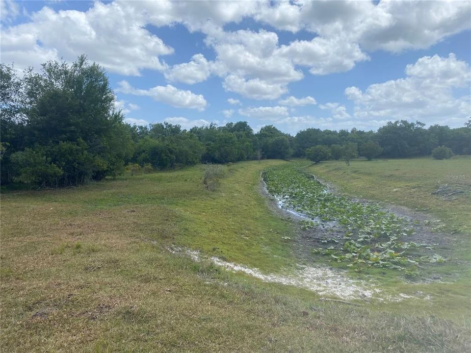 En Venta: $237,000 (9.33 acres)