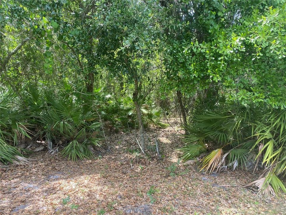 En Venta: $237,000 (9.33 acres)