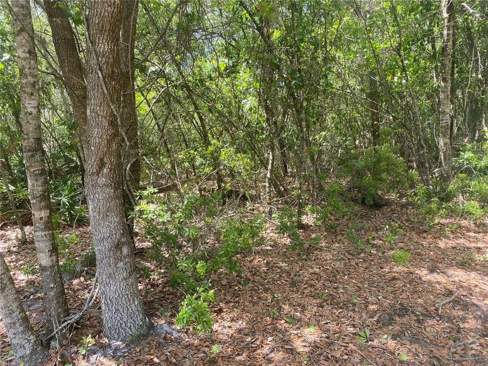 En Venta: $237,000 (9.33 acres)