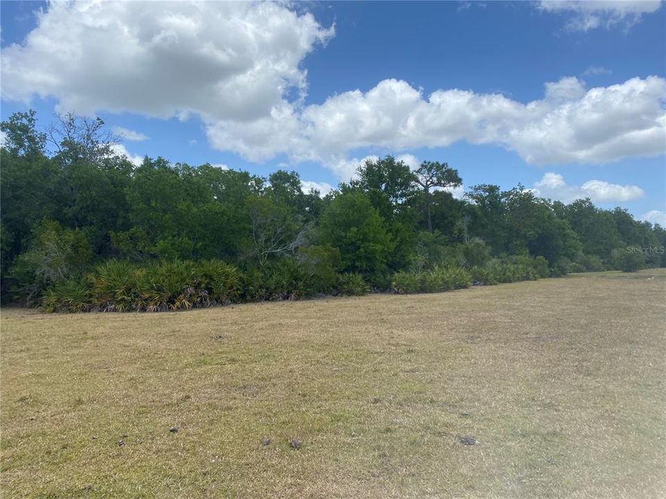 En Venta: $237,000 (9.33 acres)