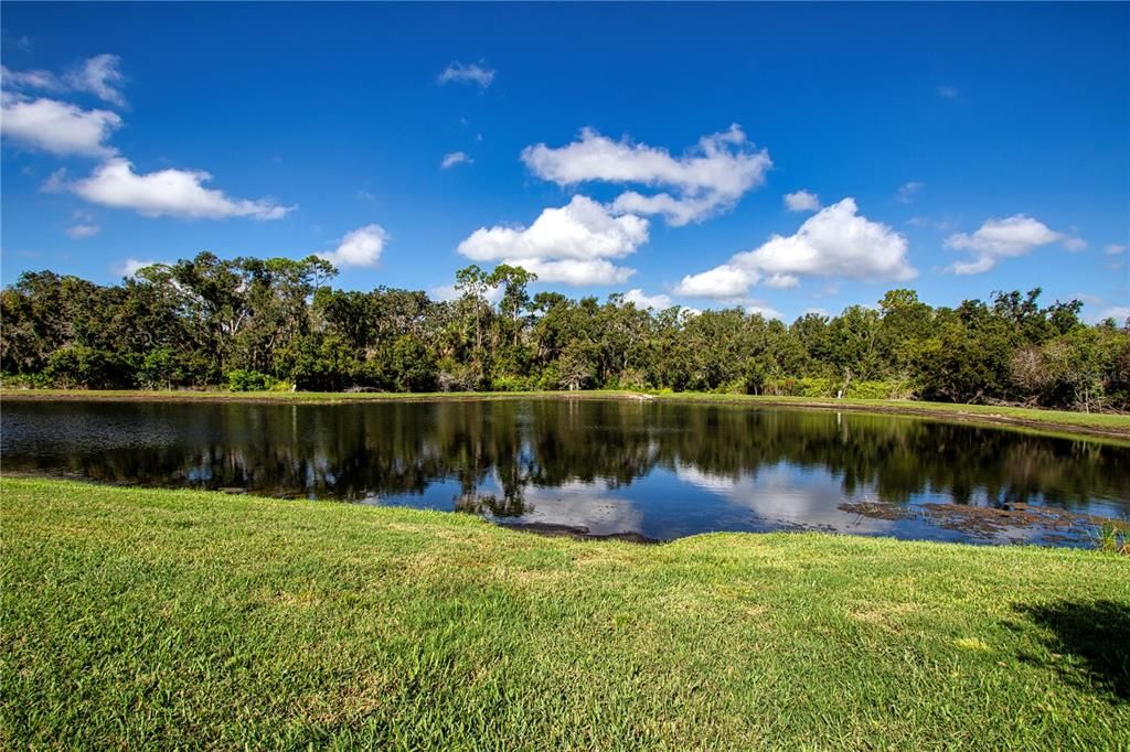 For Rent: $3,500 (2 beds, 2 baths, 1999 Square Feet)