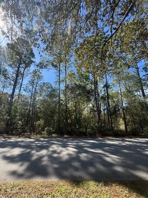 待售: $49,900 (1.26 acres)