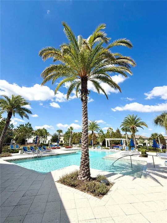 出租: $2,450 (3 贝兹, 2 浴室, 1816 平方英尺)